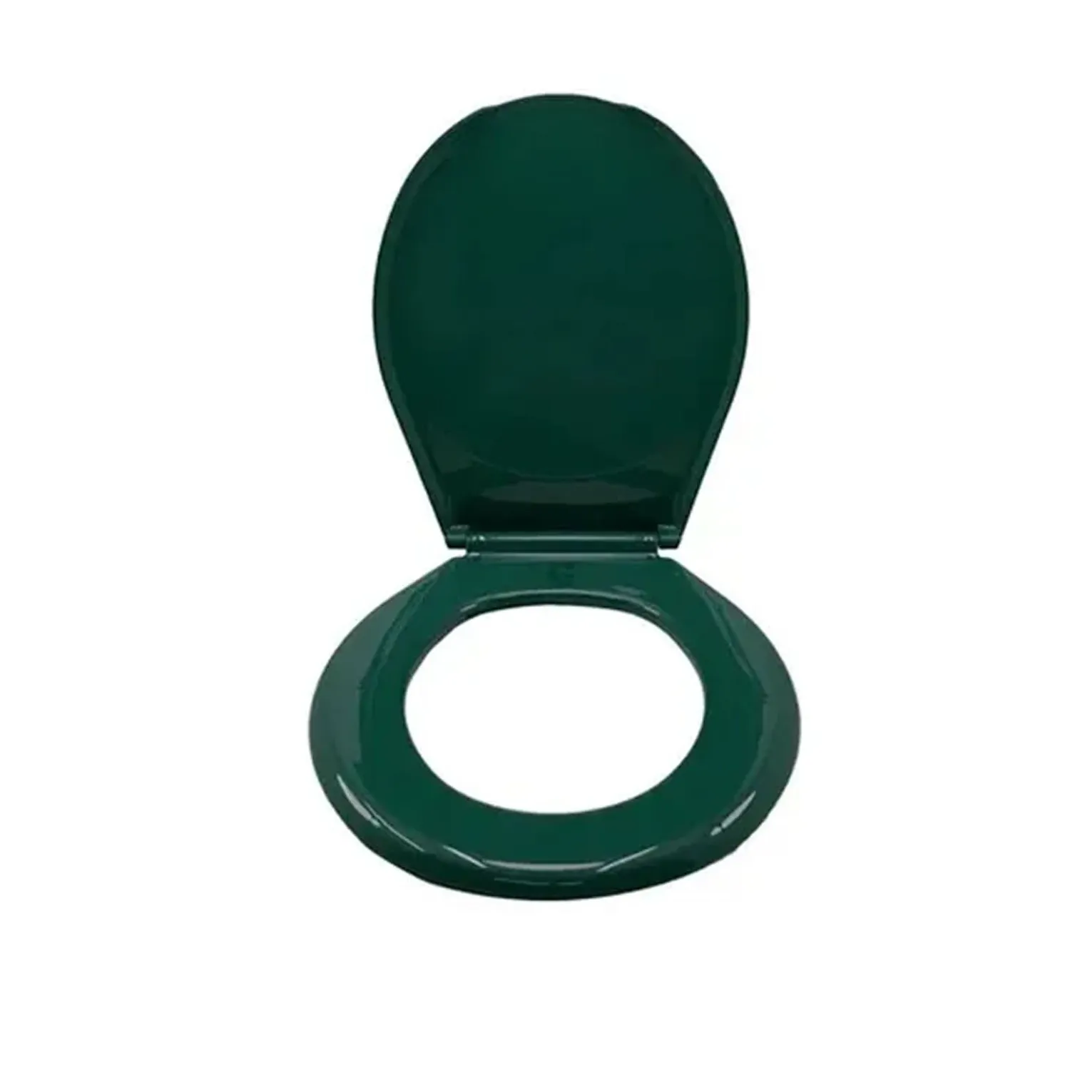 REF 3000168 ASIENTO SANITARIO VERDE OSCURO